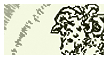 Durer Flash